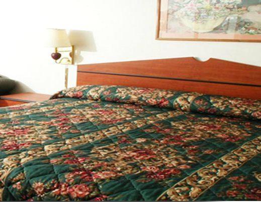 Executive Inn Dallas Rom bilde